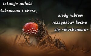 Kiedy romans przeradza się w koszmar – jak miłość może zniszczyć życie kobiety