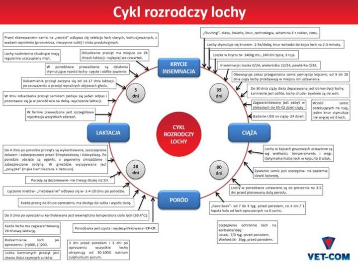 Karmienie piersią a miesiączka