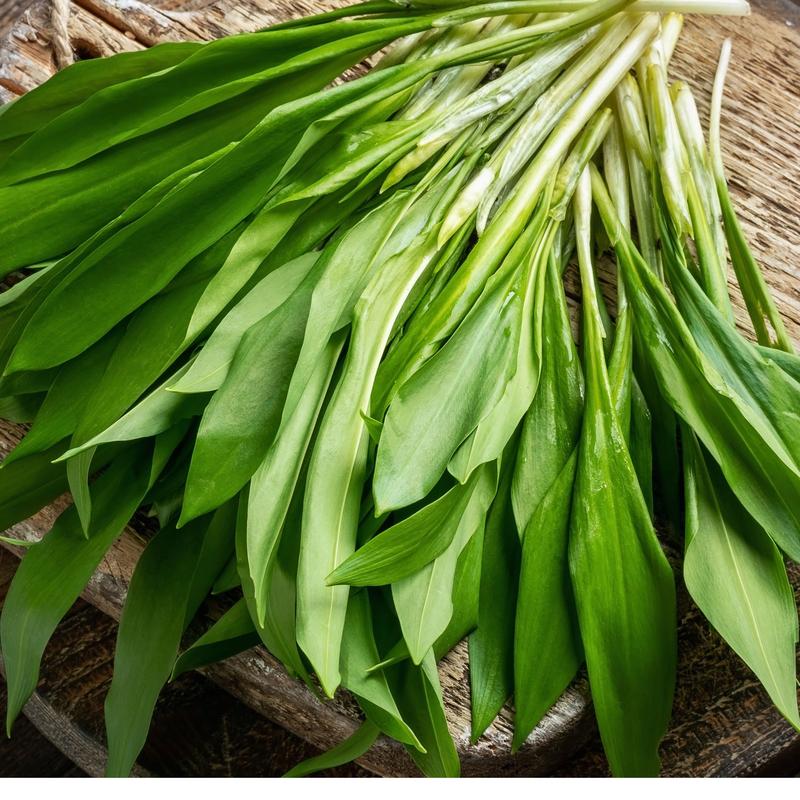 Bezpieczeństwo spożycia czosnku