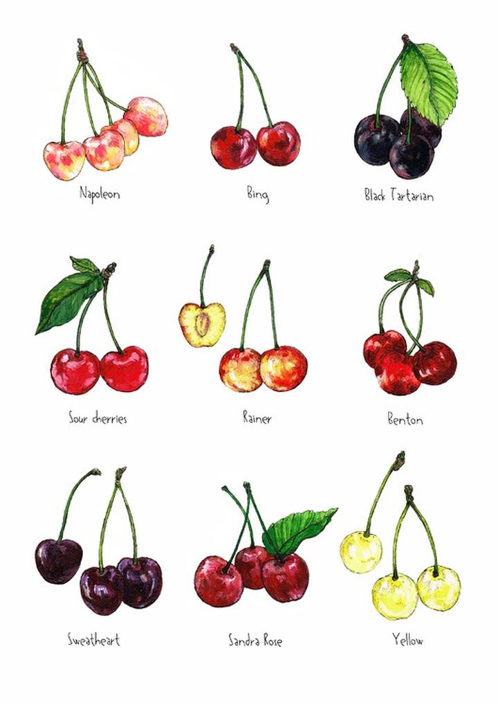 Bezpieczeństwo żywieniowe ciężarnych