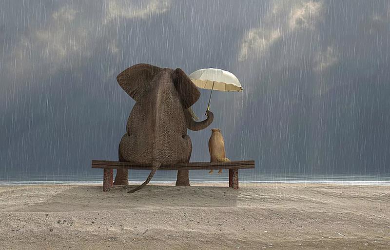 Autentyczność w przyjaźni