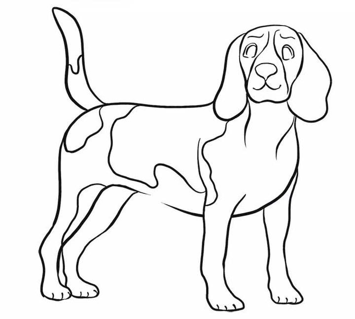 Jak narysować psa w różnych pozach