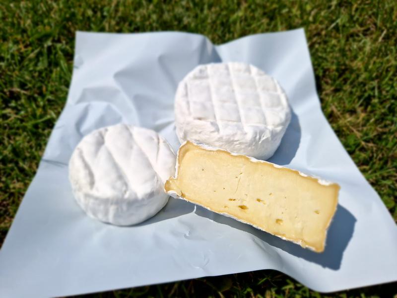 Sery pleśniowe w ciąży