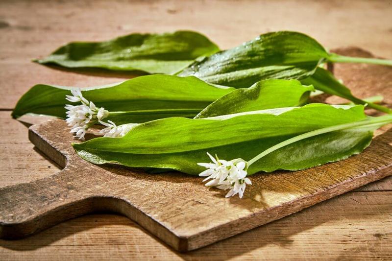 Żywienie i bezpieczeństwo maluchów