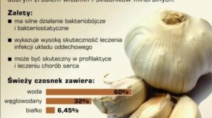 Czy czosnek to dobry wybór dla twojego dziecka?
