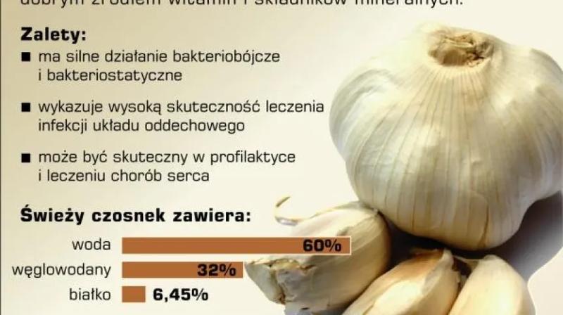 Czy czosnek to dobry wybór dla twojego dziecka?