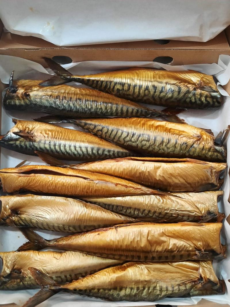 Makrela z puszki w ciąży