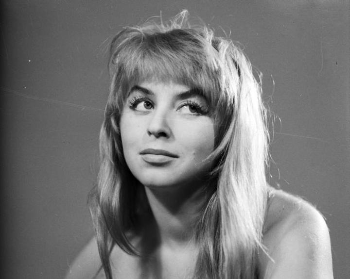 Wpływ na polskie kino