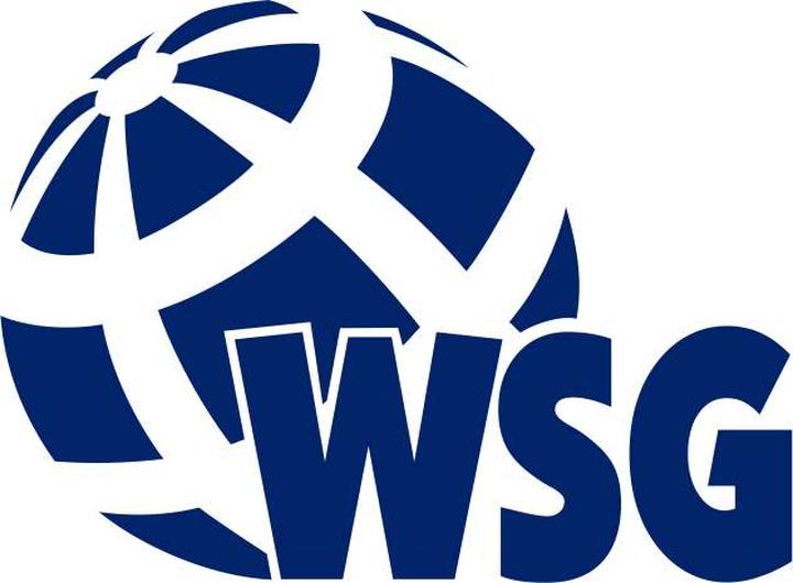 Znaczenie WSG
