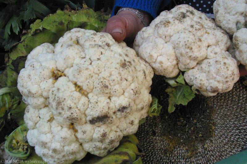 Kalafior a karmienie piersią: bezpieczna dieta dla młodych mam